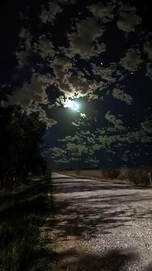 CİHANGİR_BOZKURT