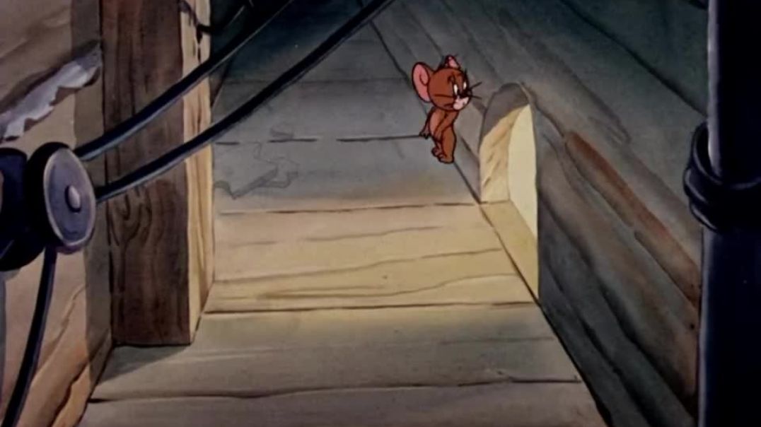 ⁣Tom and Jerry