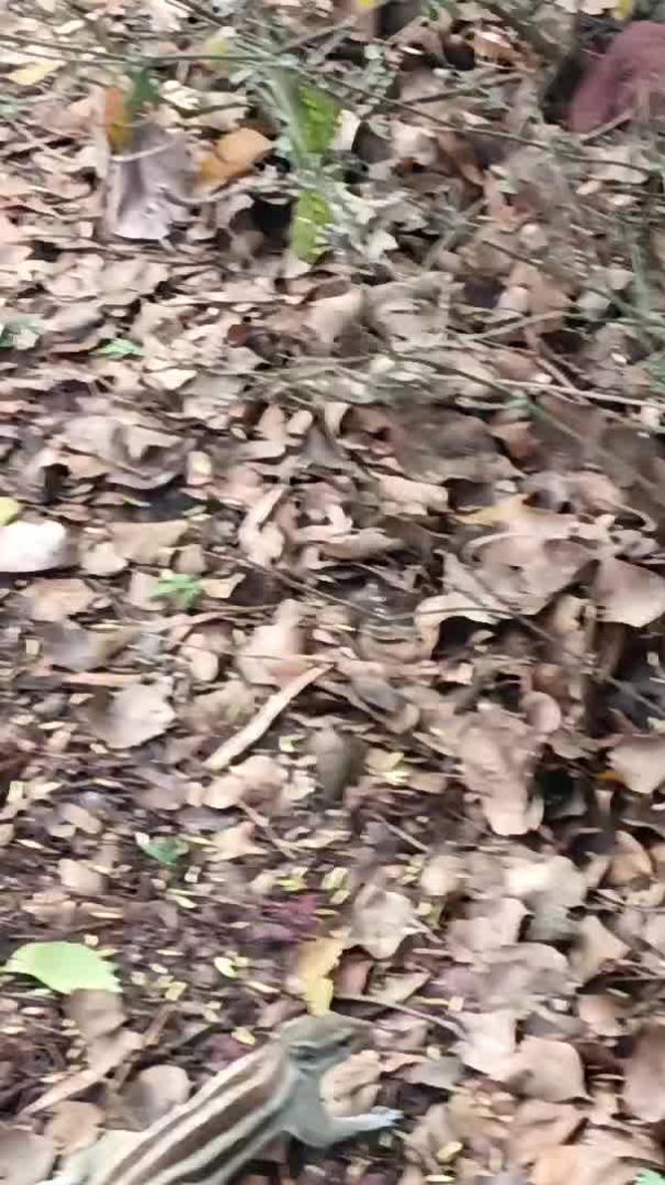 video_20260404_094710