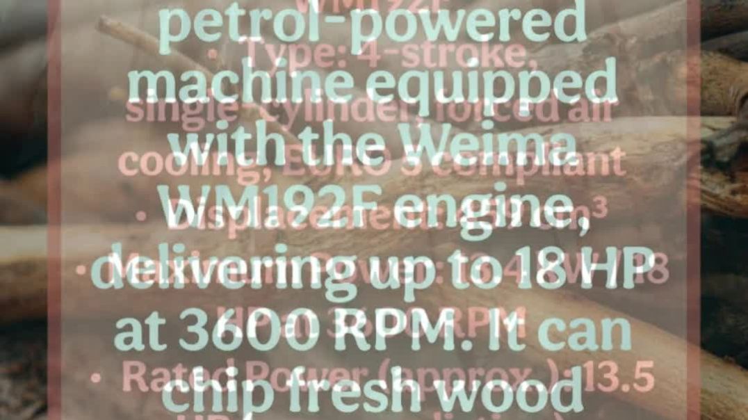 ⁣VID-20260204-WA0044
