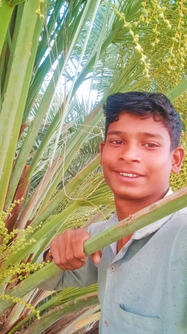 My vlog