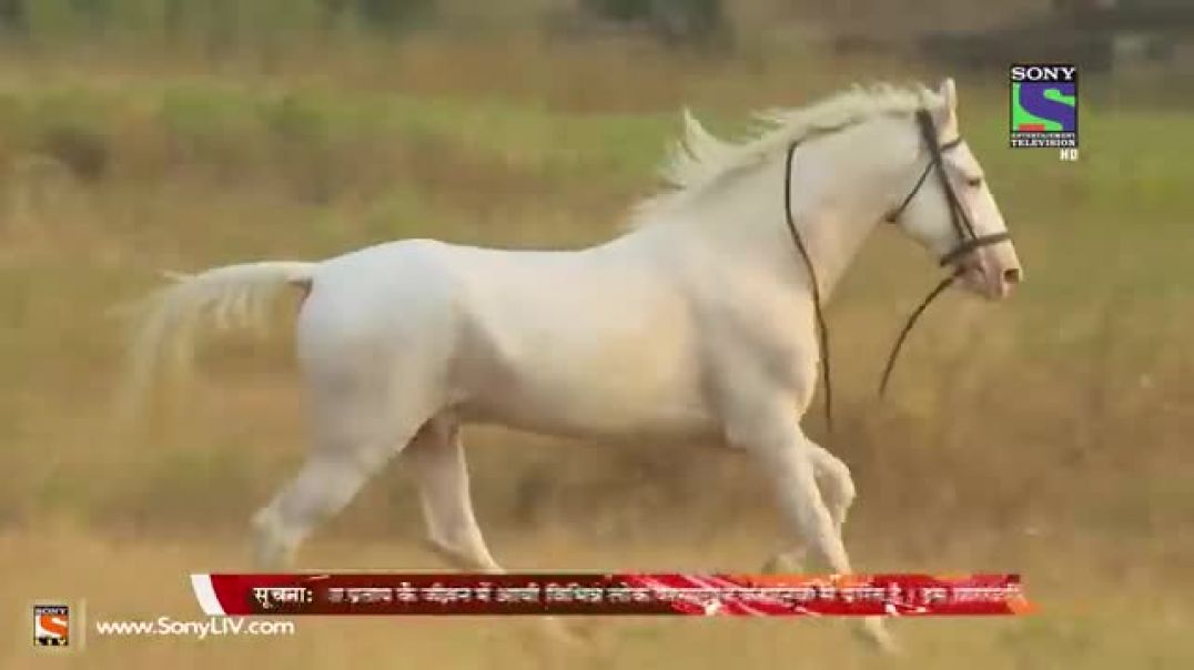 Bharat_Ka_Veer_Putra_Maharana_Pratap_-_महाराणा_प्रताप_-_Episode_318_-_24th_November_2014