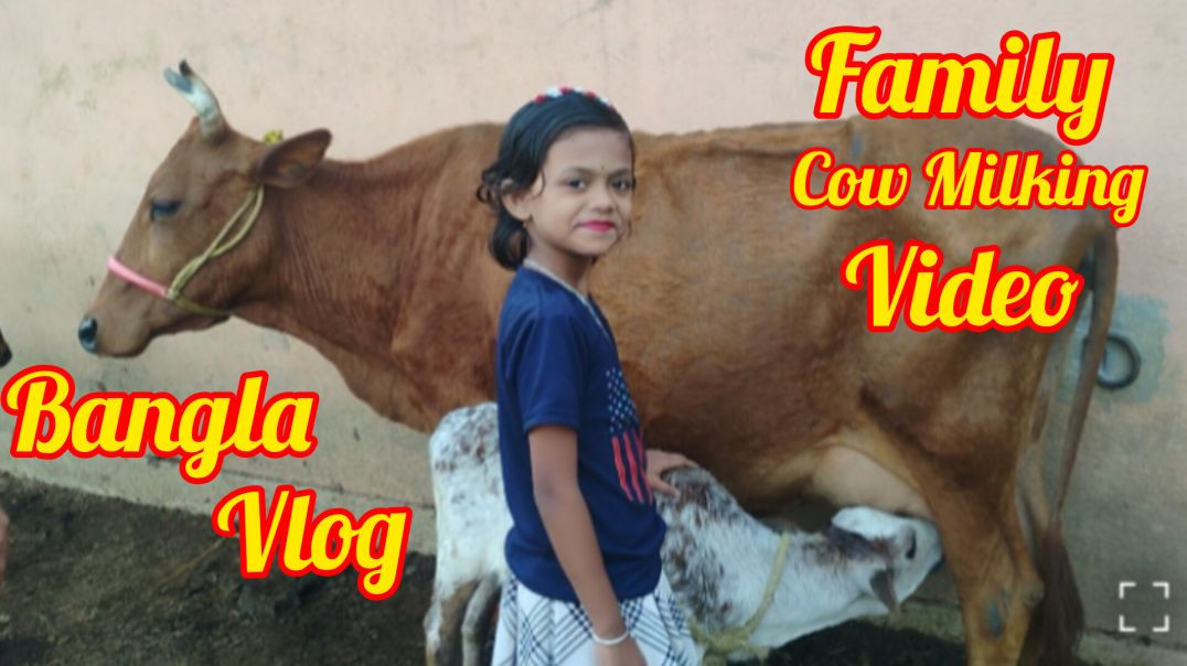 ⁣Bangla vlog l family cow milking process in village life #familyvlog#villagelife#rajuda