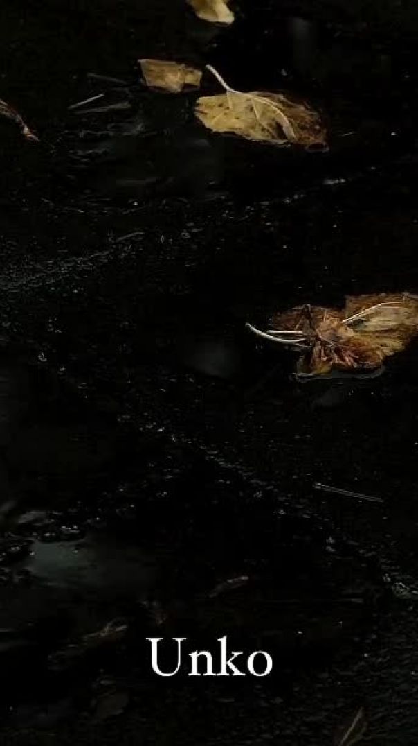 Sad songs status video