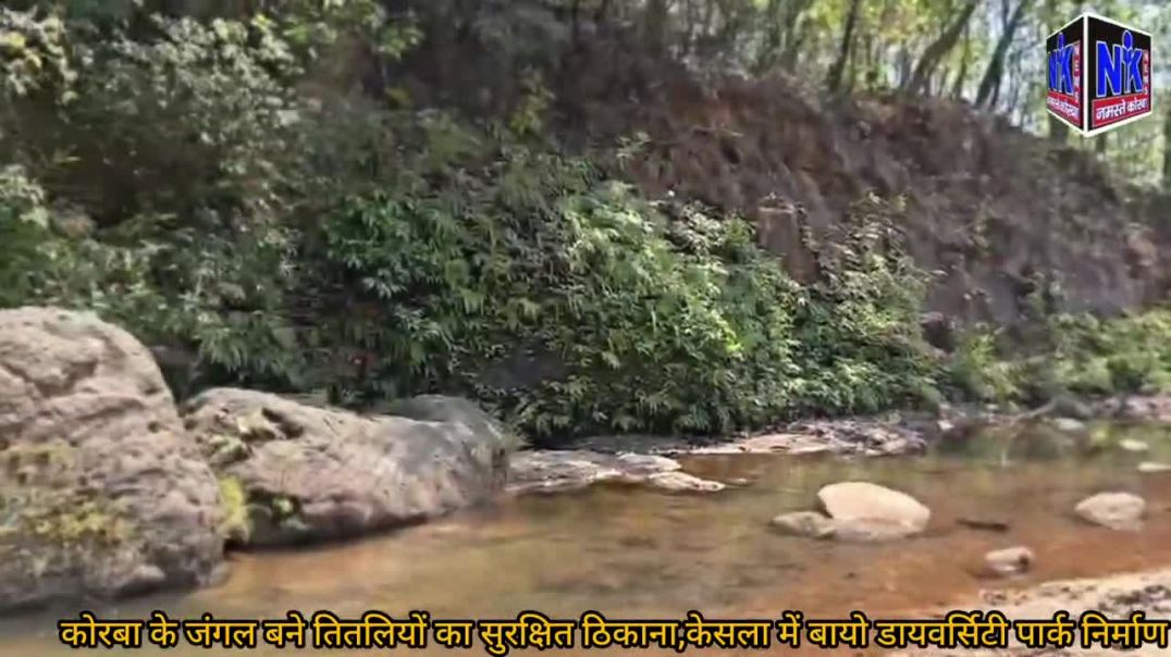 ⁣कोरबा के जंगल बने तितलियों का सुरक्षित ठिकाना,केसला में बायो डायवर्सिटी पार्क निर्माण