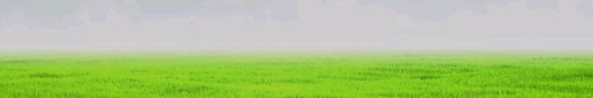 Mahipalsinh Rajput