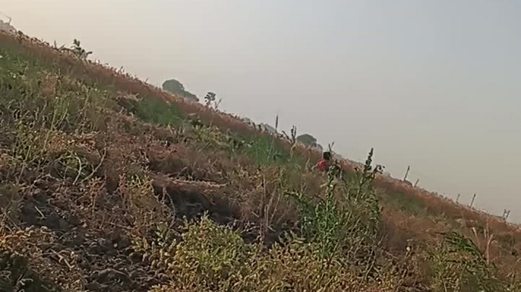 VID_20260412_063811