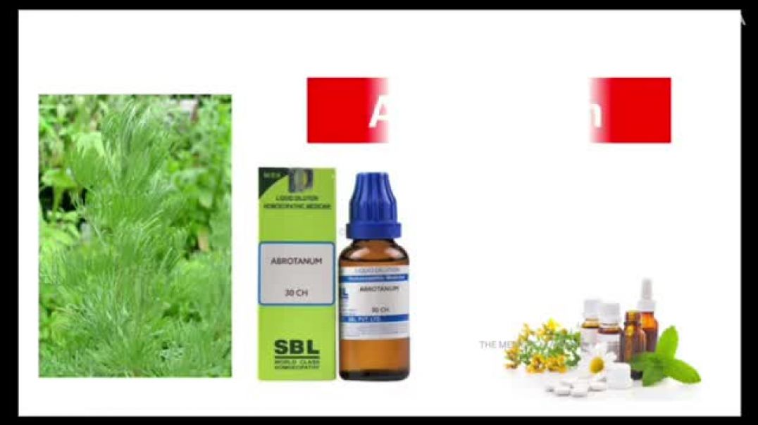 ⁣Abrotanum_Homeopathic_Medicine___Drug_Picture___Materia_Medica_#bhms_#homoeopathy_#abrotanum(360