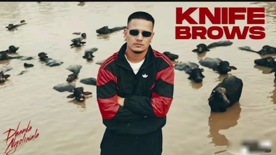 ⁣Knife brows dhandha nyoliwala new production