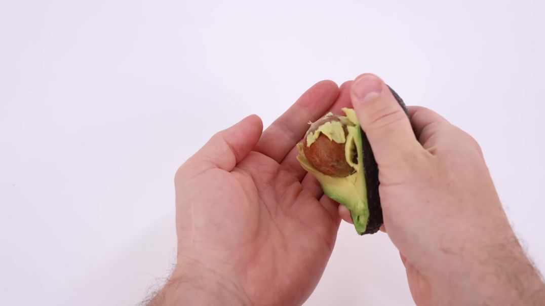 ⁣I Filmed an Avocado Seed for 7 Months(2K_HD)