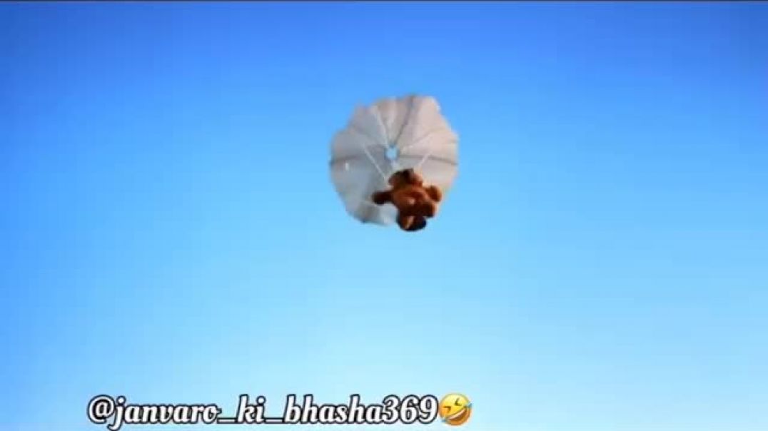 ⁣Kalakaar_malik_��_end_part_animal_#anmallovers_#pet_#petlovers_#petcare_#dog new part