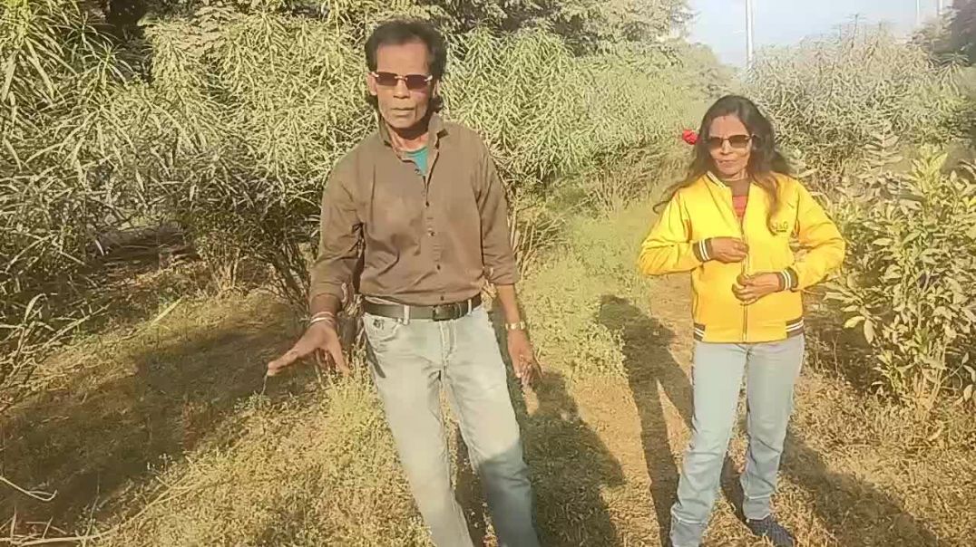 ⁣Lal_Lal_hothon_pai(720p)