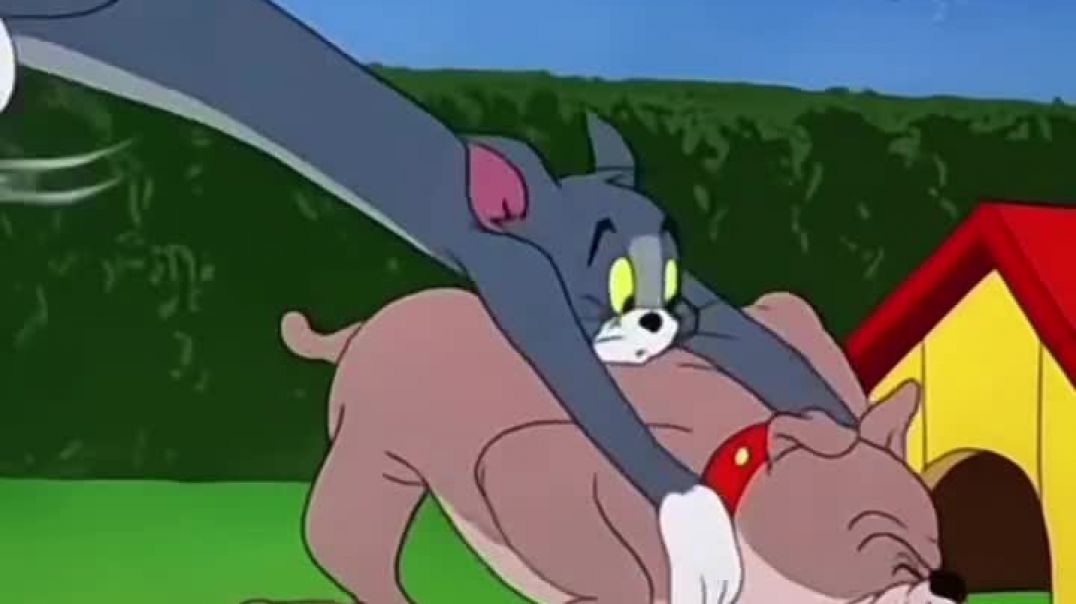 Tom and Jerry
