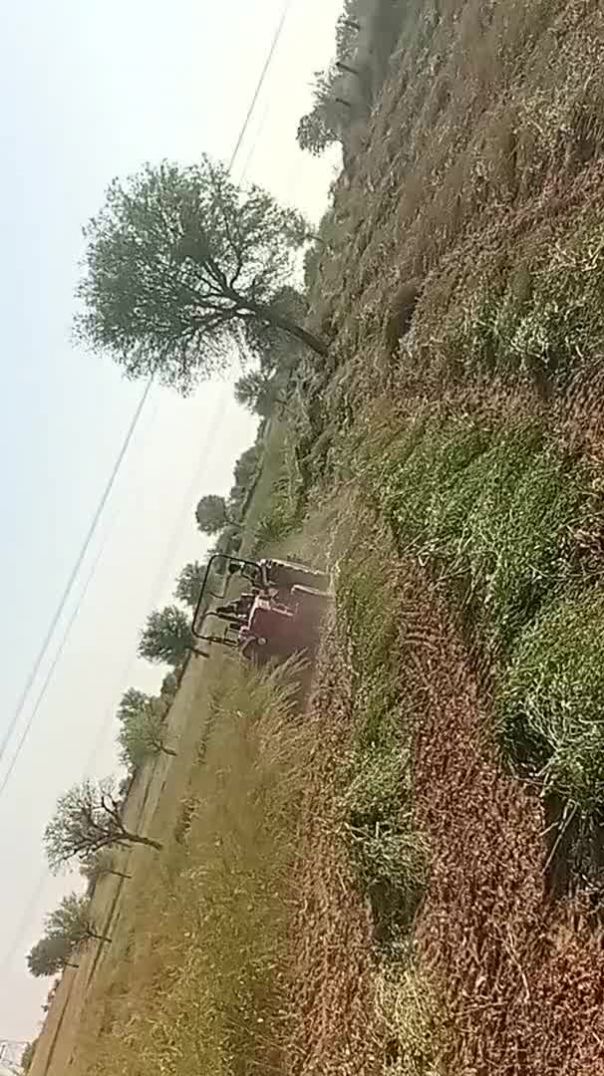 VID_20260307083442