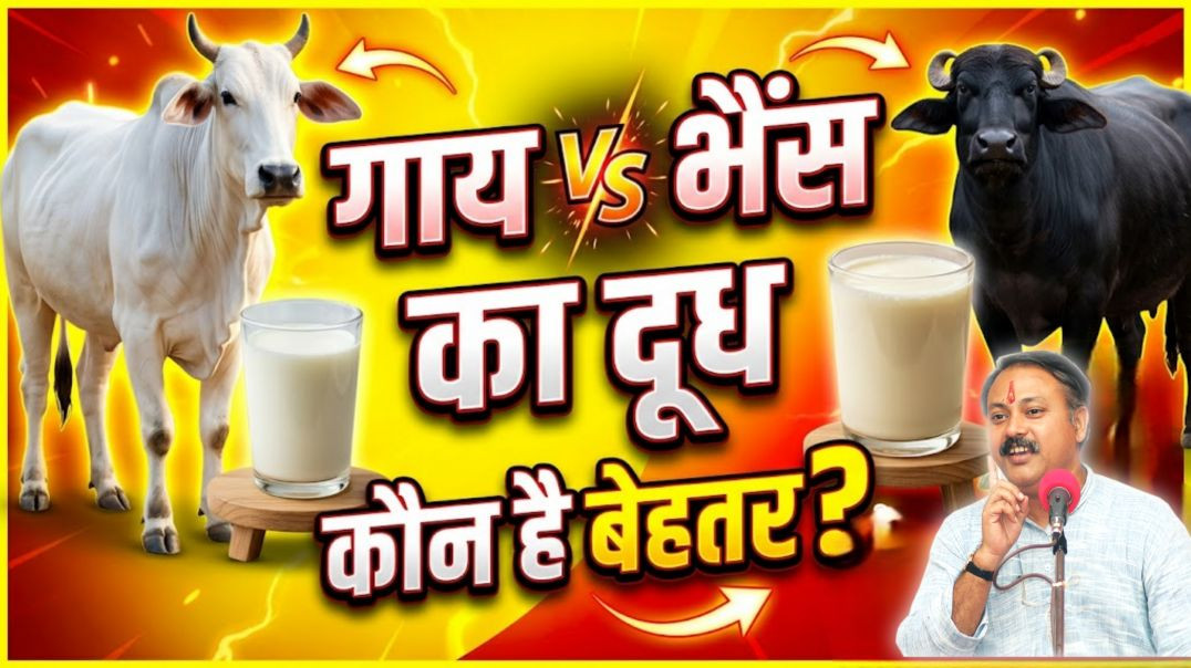 ⁣गाय और भैंस के दूध में कौन है बेहतर? | Best Milk for Health | Rajiv Dixit