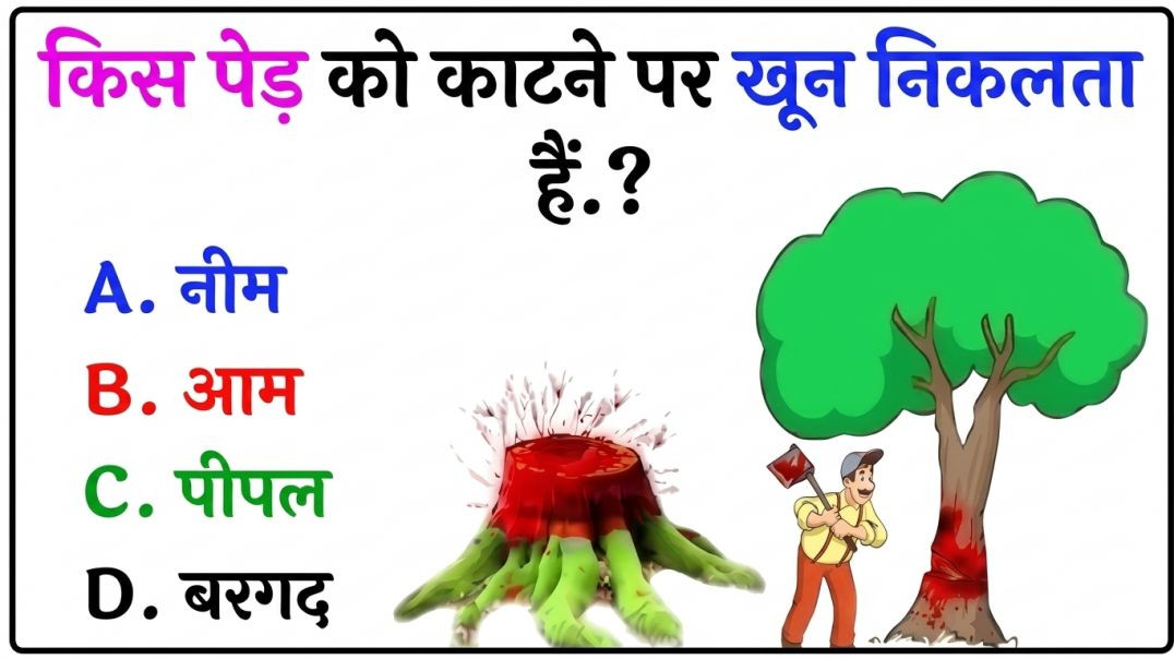 ⁣GK Question || GK In Hindi || GK Question and Answer || GK Quiz || Riya Rawani || 30