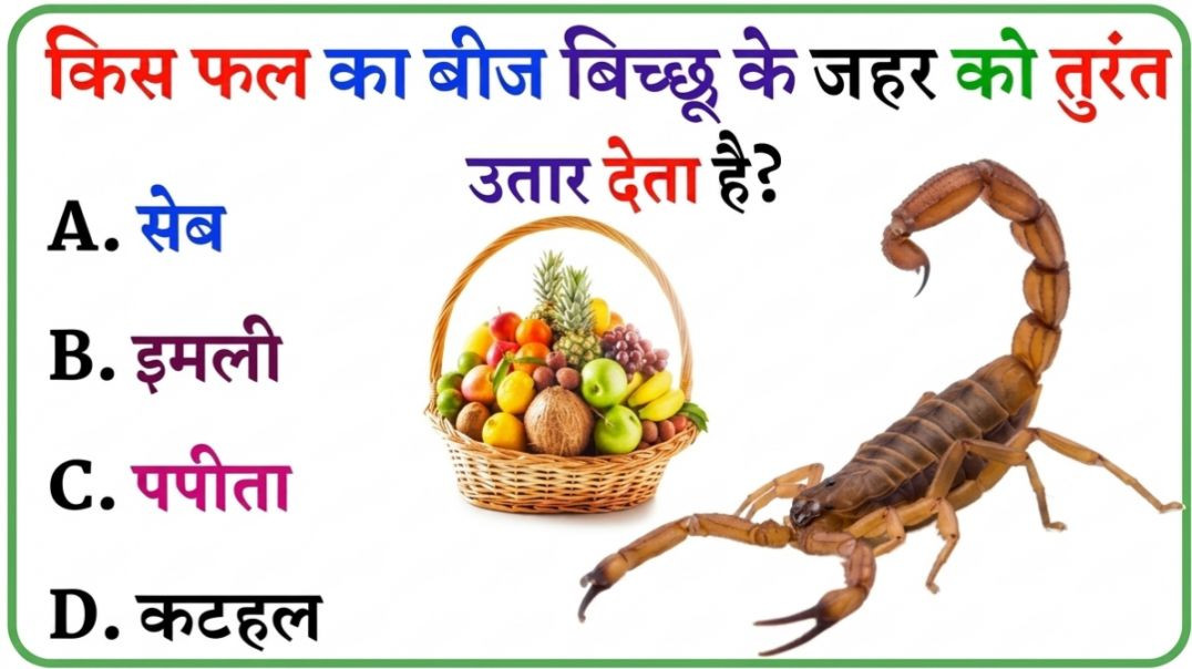⁣GK Question || GK In Hindi || GK Question and Answer || GK Quiz || Riya Rawani || 30