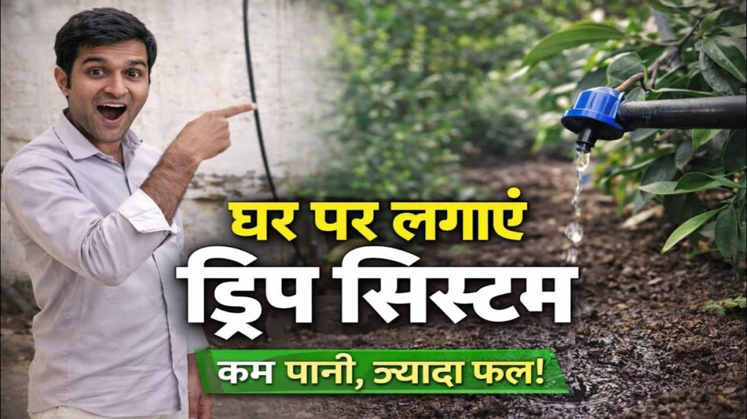⁣Drip Irrigation at Home | घर पर लगाएं ड्रिप सिस्टम | कम पानी में ज्यादा फल 🍋💧