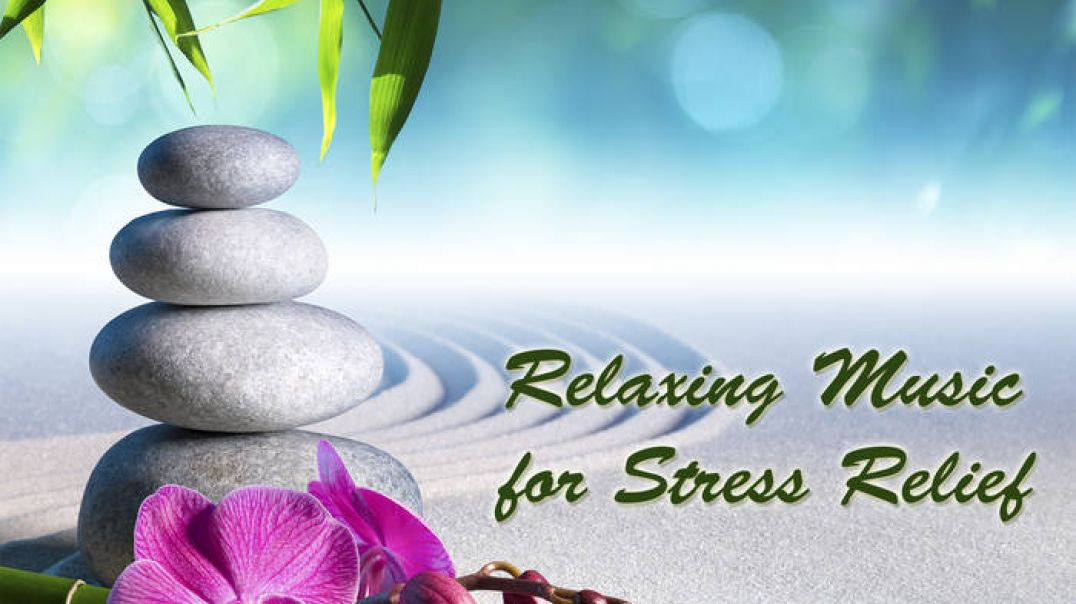 ⁣Relaxing Music For Stress Relief_ Anxiety and Depressive States _ Body and Soul _JaiMala music2