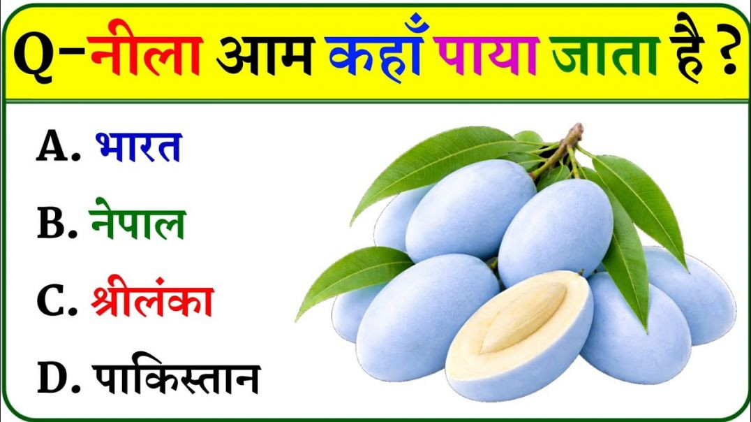 ⁣GK Question || GK In Hindi || GK Question and Answer || GK Quiz || Riya Rawani || 24