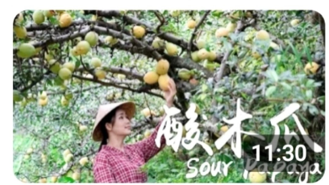 ⁣Pickled Papaya - The King of Sour Fruits in My Mind.|Dianxi Xiaoge