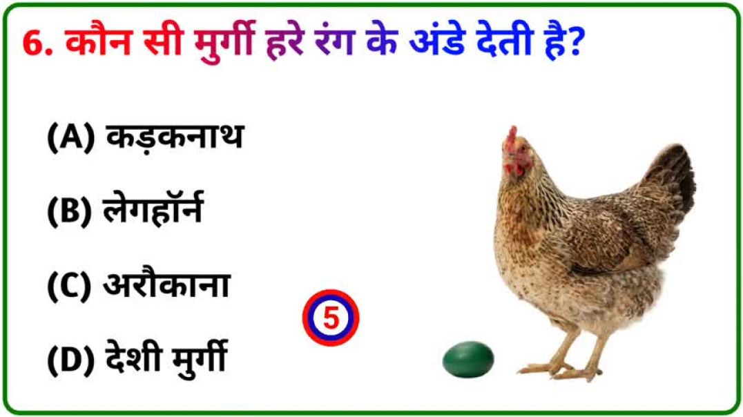GK_Question____GK_In_Hindi____GK_Question_and_Answer____GK_Quiz____Gk_Brain_King____49(480p)_2605151