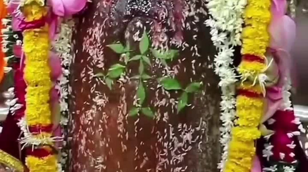 ⁣महाकाल बाल भोग आरती#shortvideo #jay #mahakal #youtubeshort #harharmahad #iloveujjain