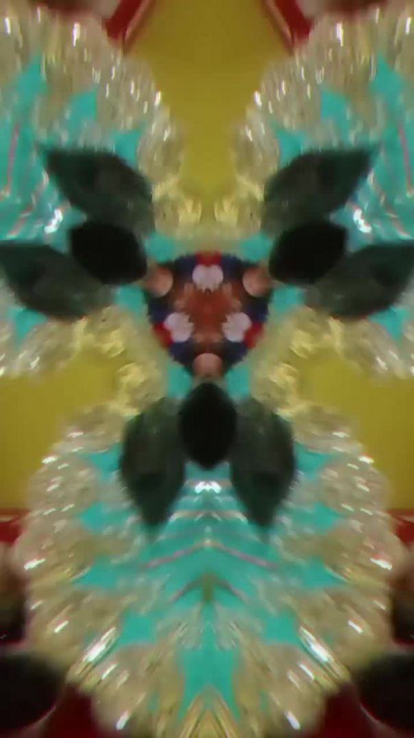 Video-475
