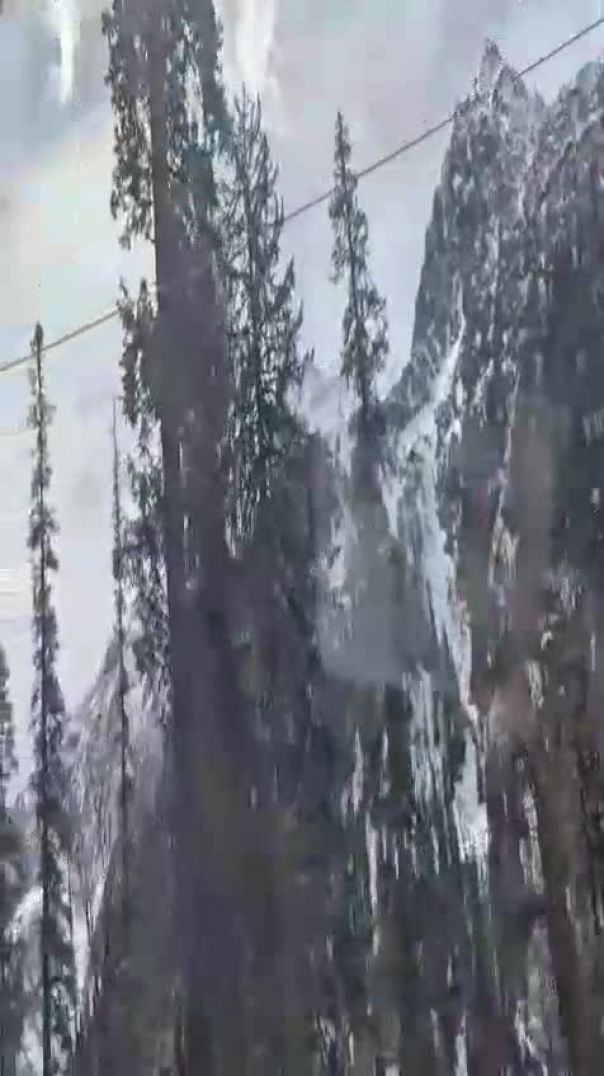 VID-20260425-WA0003