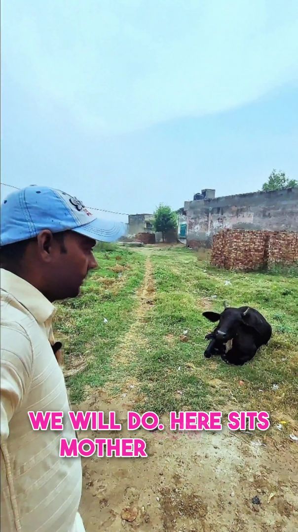 तेज धूप थी गर्मी भी बहुत ज़्यादा