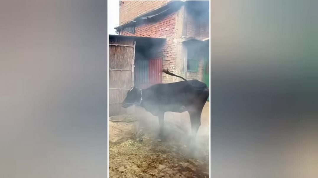 ⁣🤣ऐसे नमूने जुगाड़ पहले नहीं देखे होंगे 😜 Funny Indian Desi Jugaad That Make You Say (720P
