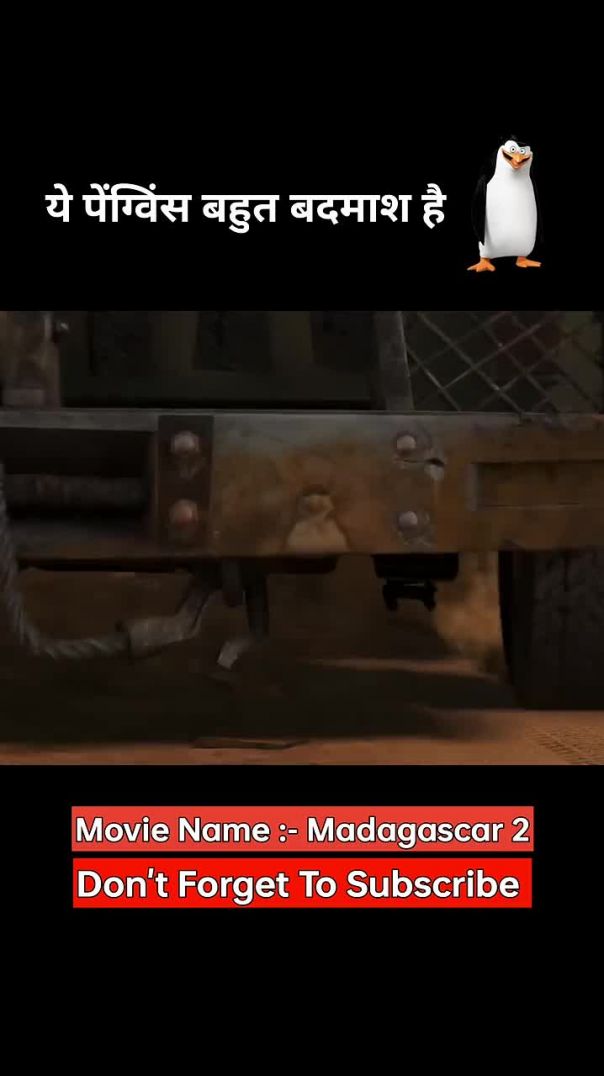 Badmaash Penguins 😂🤣😂