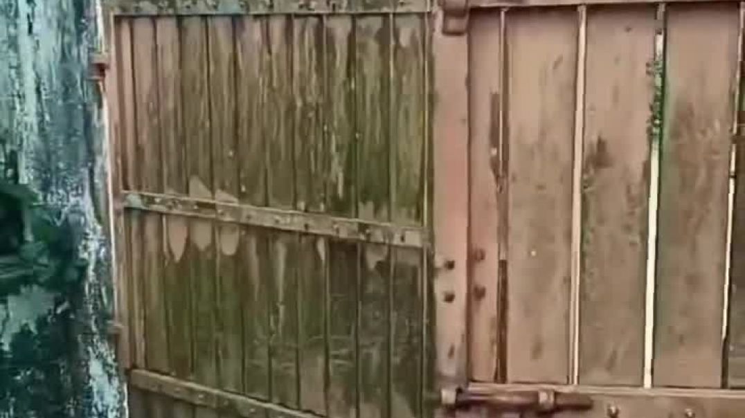 ജമാലക്കവരുന്നുണ്ട് എന്തൊ ഗുലുമാലുണ്ട് 😄😄😄