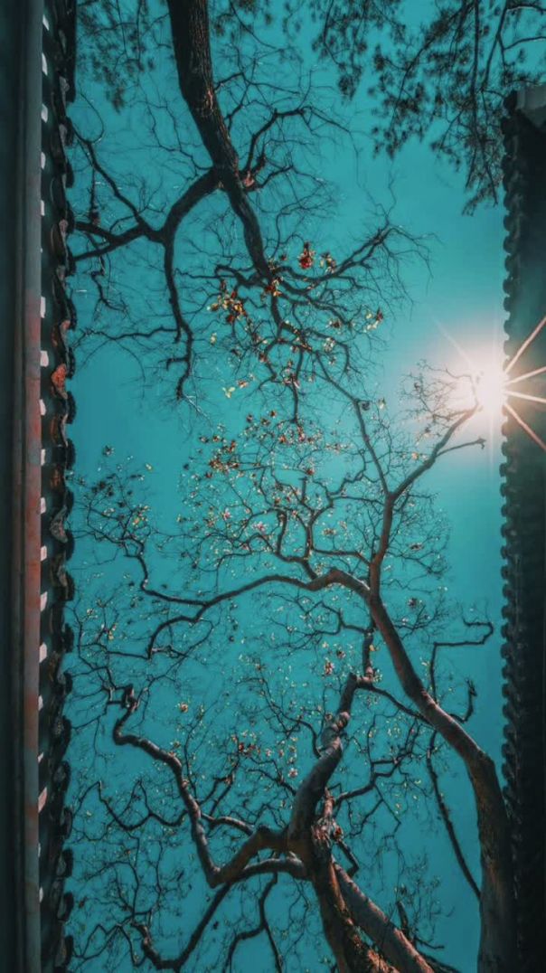 Romantic gane purane yadon ki photo