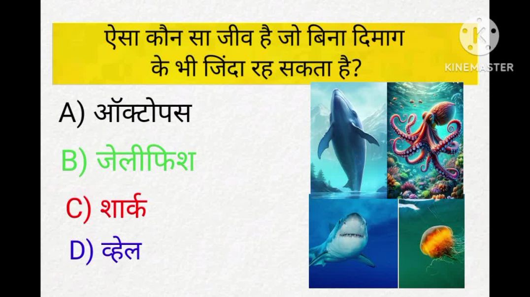 ⁣🔥 10 यूनिक GK सवाल _ 99% लोग फेल 😱 _ GK Quiz Challenge _ General Knowledge 2026