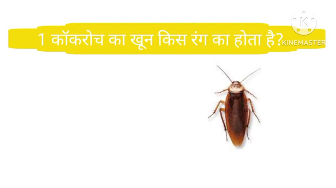 ⁣5 सवाल = असली टेस्ट 🧠 Genius हो तो ही सही करोगे!