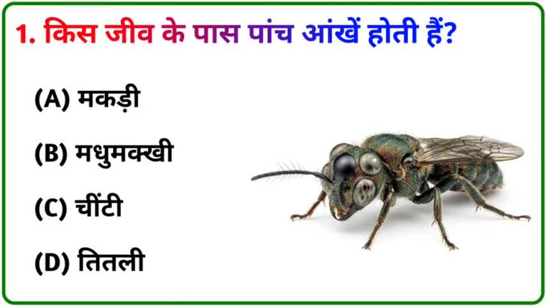 GK_Question____GK_In_Hindi____GK_Question_and_Answer____GK_Quiz____Gk_Brain_King____49(480p)_2605151