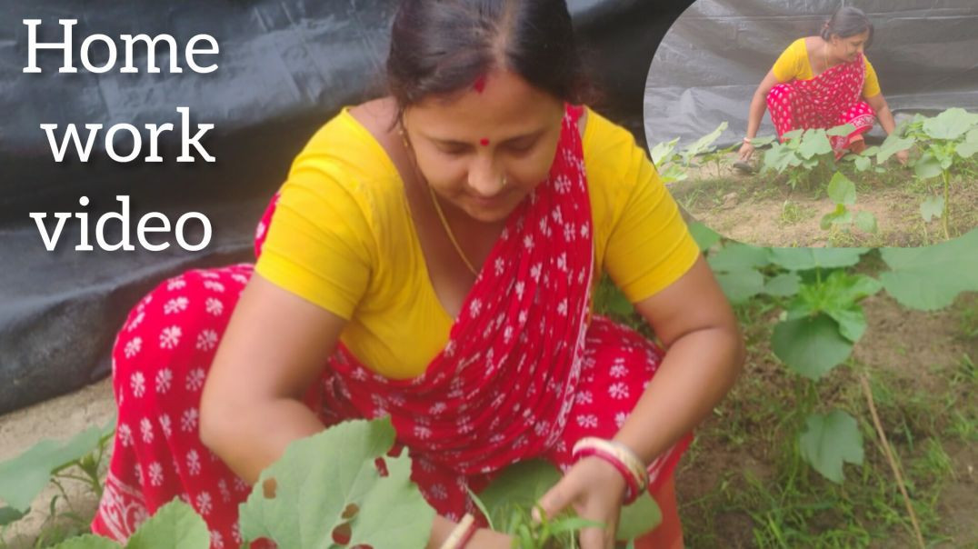 ⁣मधु जी भिंडी पौधे की देखभाल कर रही है l Home work video l #indianfamilyvlog #dailyvlog#treanding
