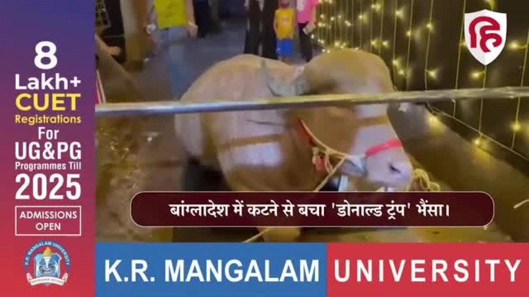 Bakrid_2026__Donald_Trump_Buffalo_की_बची_जान,_Dhaka_में_मिला_नया_घर___Albino_Buffalo।_Bangladesh
