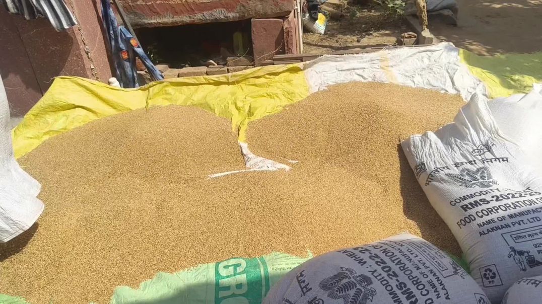 ⁣अनाज को कीटाणुओं से कैसे बचाएं