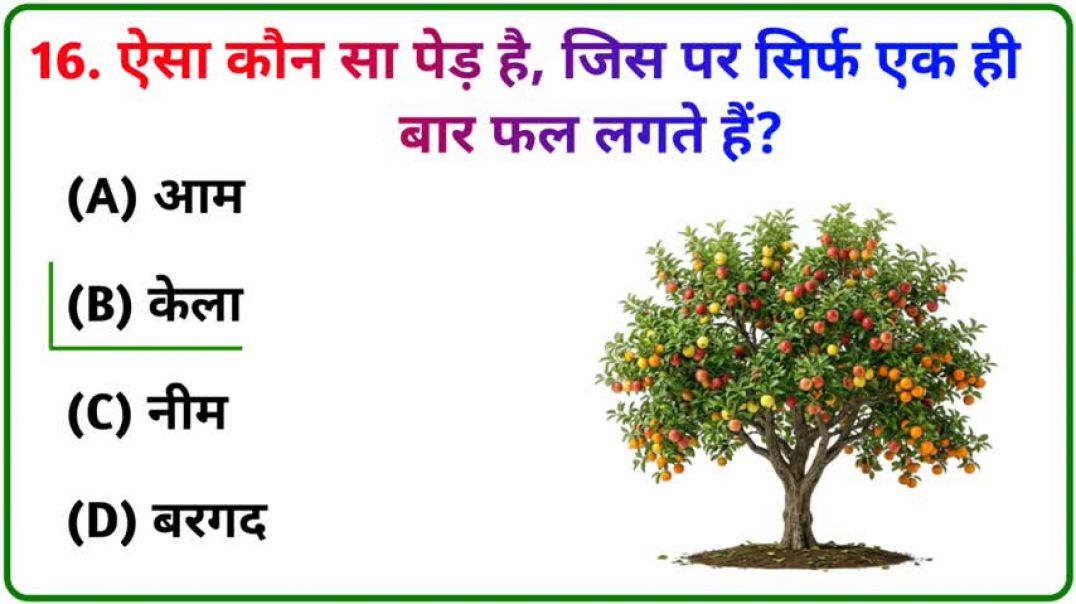 ⁣GK_Question____GK_In_Hindi____GK_Question_and_Answer____GK_Quiz____Gk_Brain_King____49(480p)_2605151