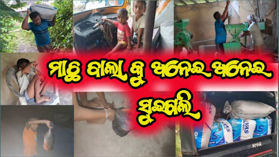 ⁣ମାଛ ବାଲା କୁ ଅନେଇ ଅନେଇ ସୁଇ ଗଲି || Odia Vlogs|| 🤣😂