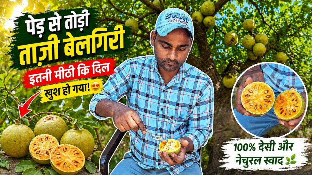 ⁣Belgiri # new vlogs#soni nayak