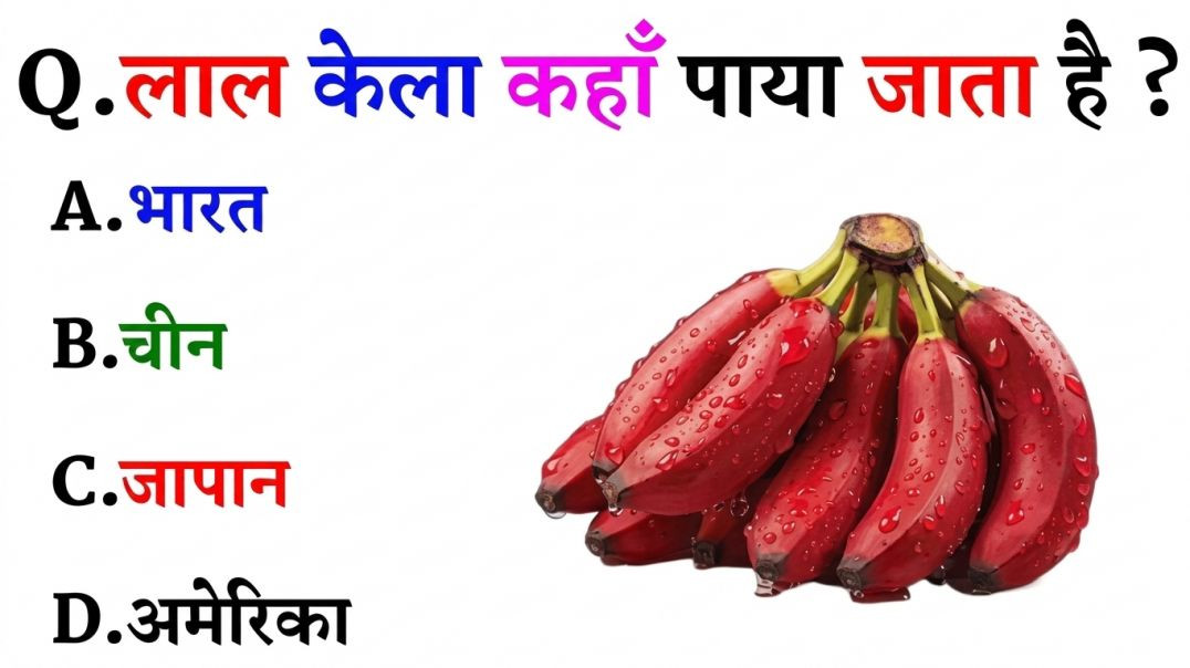 GK Question || GK In Hindi || GK Question and Answer || GK Quiz || Riya Rawani ||