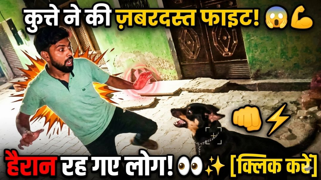 ⁣SHOCKING! 😲 देखिए कैसे एक बेज़ुबान जानवर ने सिखाया इंसान को सबक! 👊⚡️