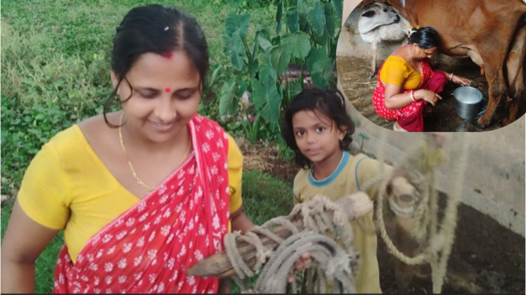 ⁣Village Cow Bath Routine ll Real Rura Life 🐄#villagelife#cowbath#ruralife