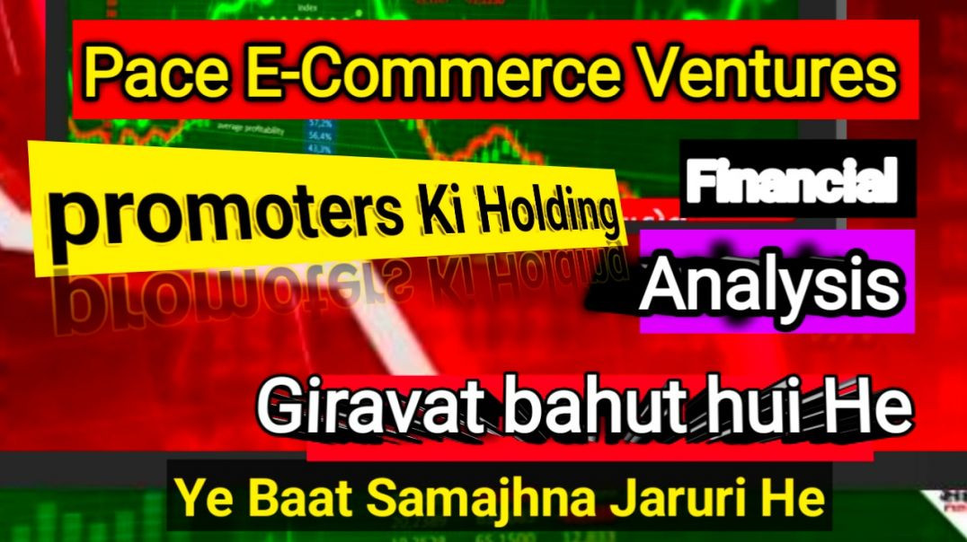 ⁣Pace E-Commerce Ventures Share Price
