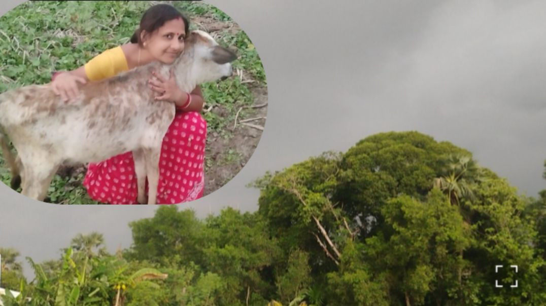 ⁣मधु जी सच में पड़ गई क्या करूं इतनी तेज हवा #familyvlog#villagelife#treanding