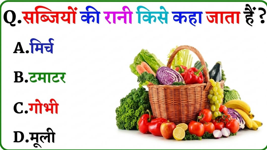 ⁣GK Question || GK In Hindi || GK Question and Answer || GK Quiz || Riya Rawani || 43