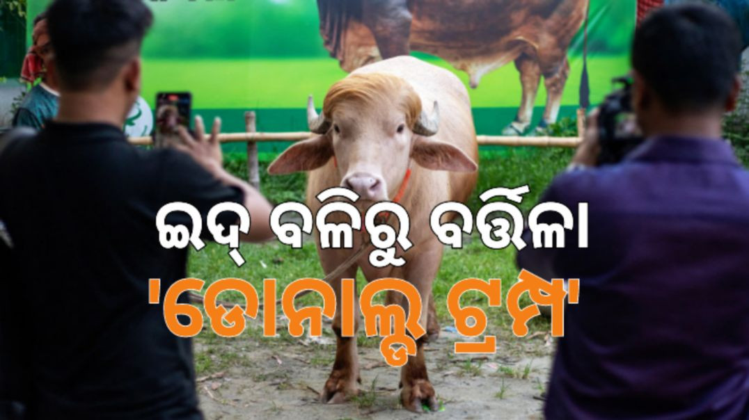 ପୂରା ଘଟଣା ଜାଣିଲେ...